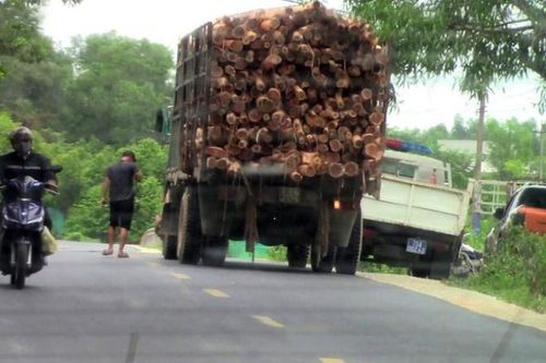 Kỷ luật trung tá CSGT sau vụ tài xế vào trình diện trong nhà dân