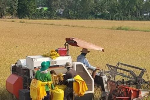 Bạc Liêu: Xây dựng thị xã Giá Rai phát triển toàn diện, bền vững