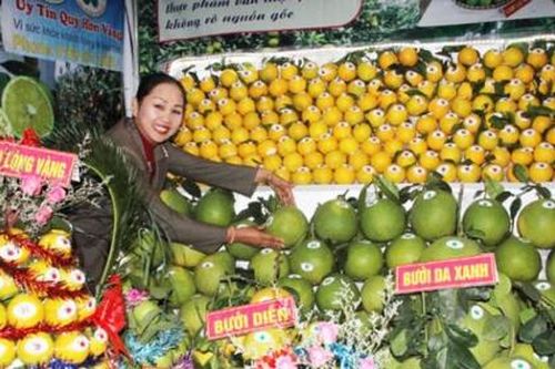 Bắc Giang: Nhiều nét mới tại hội chợ cam, bưởi và các sản phẩm đặc trưng của huyện Lục Ngạn năm 2019