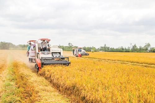 Trung Quốc không còn là thị trường dễ tính cho nông sản Việt