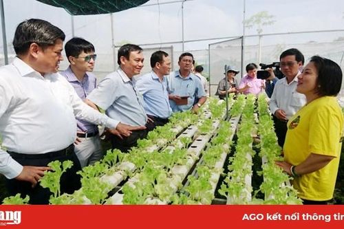 Thứ trưởng Bộ Nông nghiệp và Phát triển nông thôn Trần Thanh Nam làm việc tại An Giang