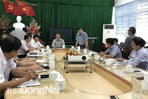 Bàn giải pháp ổn định nguồn 'cung' thịt heo cuối năm