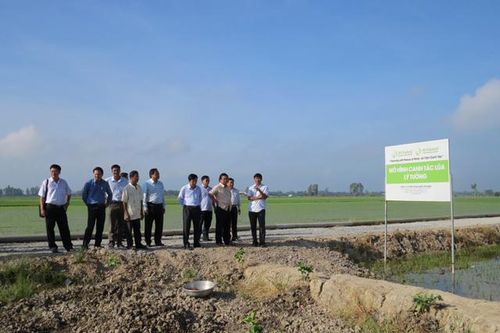 Triển khai nhiều giải pháp khoa học công nghệ trong sản xuất