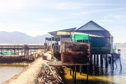 Xây dựng trái phép trên đầm Nha Phu