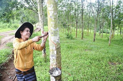 Giảm nghèo, nhìn từ thu nhập của người dân