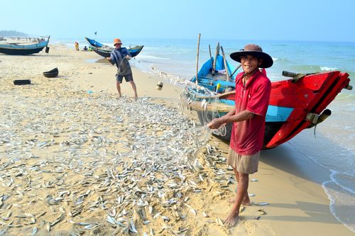 Tập huấn Luật Tài nguyên, môi trường biển và hải đảo cho người dân vùng biển Gio Linh