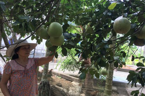 Chính trị - Xã hội Theo dòng thời sự Cử tri đề nghị đầu tư hệ thống điện chiếu sáng tại phường Thủy Biều