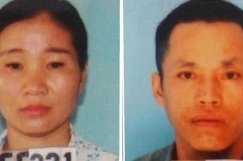 Hai phụ nữ rủ bạn đi chặt hạ vườn keo nhà hàng xóm để trả thù