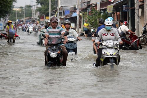 TP Hồ Chí Minh: Đề xuất 19 triệu USD đầu tư dự án quản lý ngập