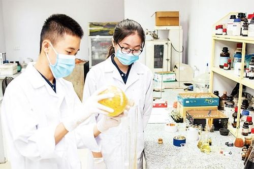 Ðẩy mạnh đào tạo nguồn nhân lực chất lượng cao
