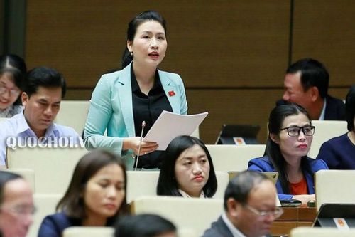 Quốc hội thảo luận Dự án Luật Thanh niên (sửa đổi): Chính sách nặng tính hô hào, khó khả thi