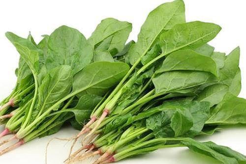 Những loại rau là 'thần dược' cho người bị đau dạ dày
