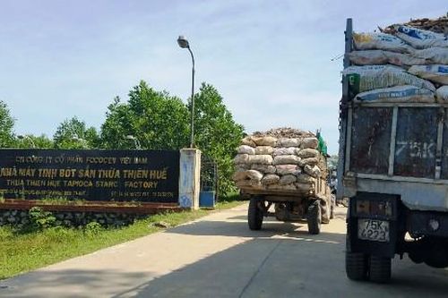 Xử phạt Nhà máy tinh bột sắn hơn 470 triệu đồng vì hành vi xả thải
