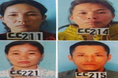 Chặt phá gần 1.000 gốc keo hàng xóm để trả thù