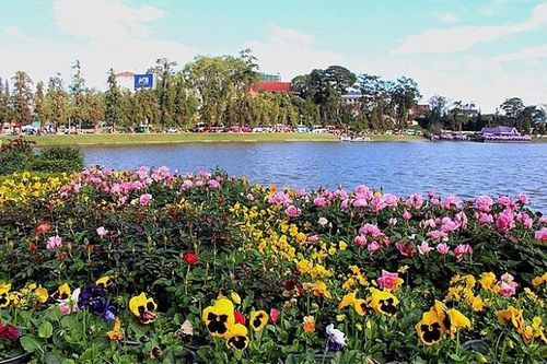 Festival Hoa Đà Lạt: Hướng tới là điểm đến an toàn, thân thiện và mến khách
