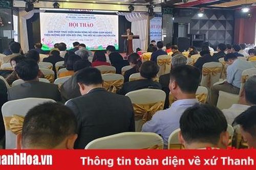 Nhân rộng mô hình giảm nghèo theo hướng góp vốn đối ứng, thu hồi và luân chuyển vốn