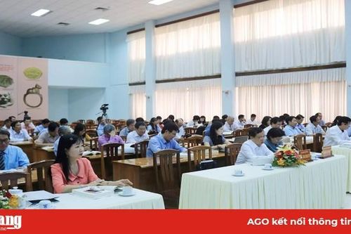 Hội thảo khoa học cấp quốc gia 'Khu di tích Óc Eo - Ba Thê, Nền Chùa: khai quật, nghiên cứu, bảo tồn và phát huy giá trị'