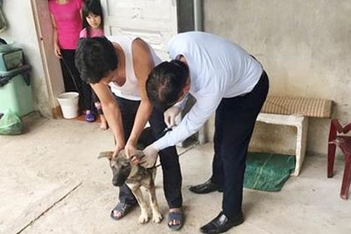 Khó khăn trong xã hội hóa công tác tiêm phòng dịch cho đàn vật nuôi