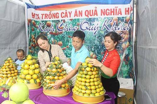 Các hoạt động tại ngày hội văn hóa, thể thao và Ngày hội nông sản huyện Phù Yên năm 2019