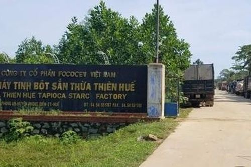 Nhà máy tinh bột sắn bị phạt gần nửa tỷ vì xả thải gây ô nhiễm