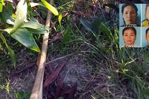 Chặt phá gần 900 cây keo vì thù tức