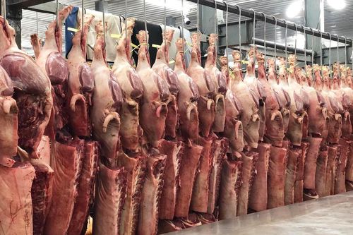Tiểu thương chợ Bình Điền lao đao vì giá lợn tăng vọt