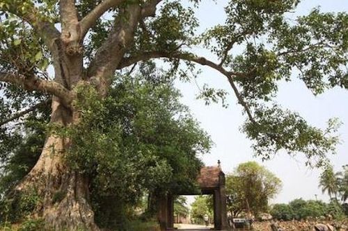 Hà Nội hỗ trợ người dân Làng cổ Đường Lâm làm du lịch
