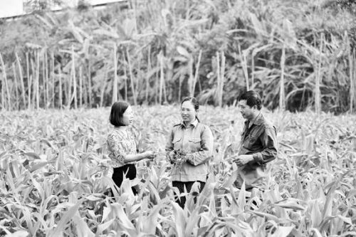 Gỡ 'nút thắt' cho sản xuất rau an toàn