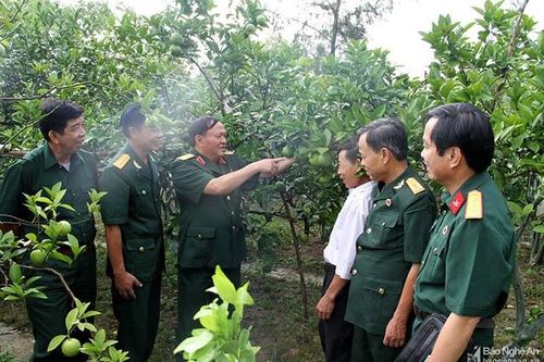 Phát huy truyền thống Bộ đội Cụ Hồ trên mặt trận mới