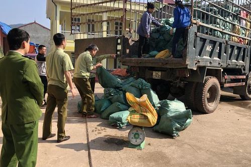 Ồ ạt đưa lợn vượt biên, lệnh gấp ngăn chặn, xử nghiêm