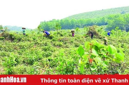 Phục hồi và quản lý bền vững rừng phòng hộ tỉnh Thanh Hóa
