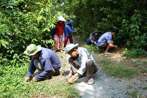 Phát huy vai trò các Tổ nhân dân tự quản trong công tác vận động quần chúng