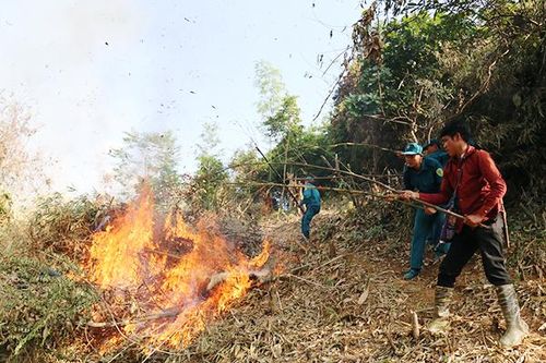 Chặng đường phát triển của Chi cục Kiểm lâm Lào Cai