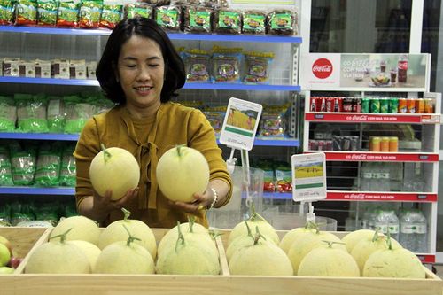Thêm những mùa quả ngọt