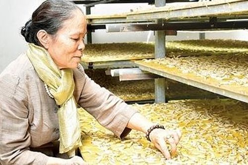Hấp dẫn 'Tiếng Tơ' trên phố cổ Hà Thành
