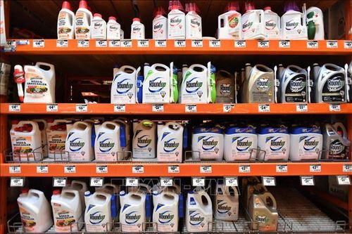 Monsanto nhận tội sử dụng thuốc trừ sâu trái phép tại Mỹ