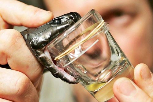Công dụng chữa bệnh của nọc độc rắn