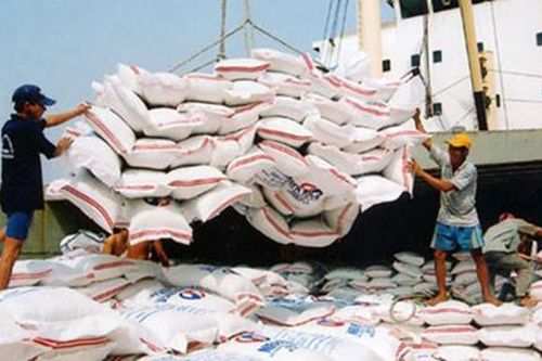 Logistics hỗ trợ nâng cao giá trị nông sản