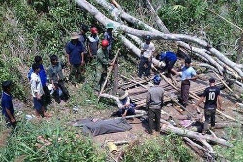 Vào rừng chặt gỗ, nam thanh niên bị cây ngã đè lên người tử vong