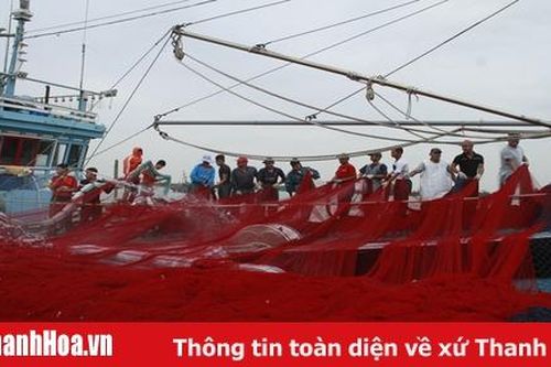 Tăng cường đào tạo thuyền trưởng và thuyền viên cho tàu cá