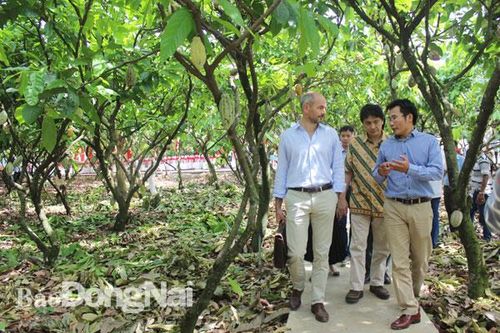 Nhân rộng hợp tác xã kiểu mới