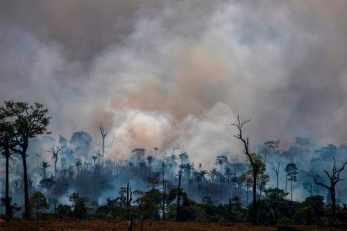 Tổng thống Brazil gọi nạn phá rừng Amazon là 'văn hóa'