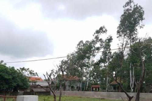 Chính quyền huyện Nghi Xuân chậm trễ trong giải quyết đơn thư của người dân