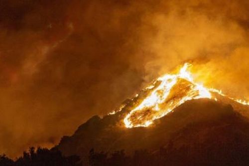 Từ điển Oxford bầu chọn 'Climate emergency' là từ của năm