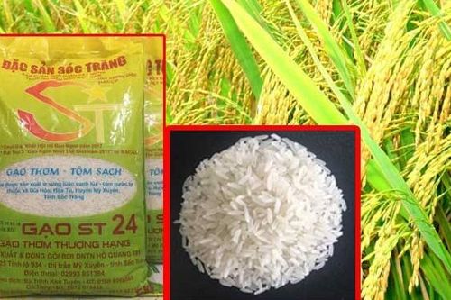 Gạo Việt Nam ngon nhất thế giới: Có tạo cú hích cho xuất khẩu?