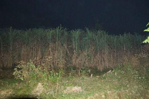 Biểu hiện bất thường của người mẹ kế trước khi sát hại bé trai 6 tuổi