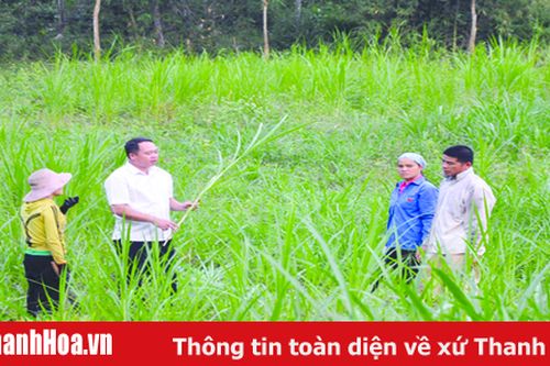 Bài 1: Chuyển biến mạnh mẽ trong công tác cán bộ nhiệm kỳ 2015-2020