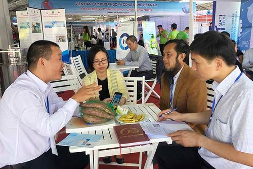 TechDemo 2019: Tư vấn, giải đáp thắc mắc cho các doanh nghiệp