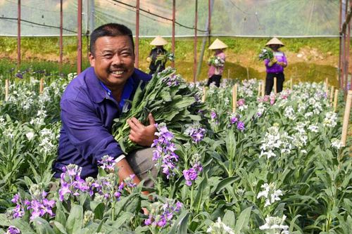Người đưa hoa Đà Lạt xuất ngoại