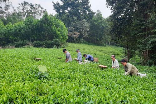 Cuộc sống mới ở Chiến Thắng